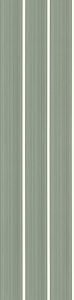 COTTAGE SALVIA  20X80