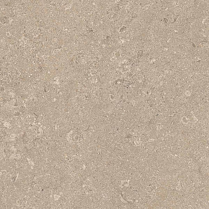 HERITAGE BEIGE 60x60 SPAZZOLATO R10 06
