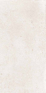 DISTRICT WHITE 30x60 SPAZZOLATO R10 04