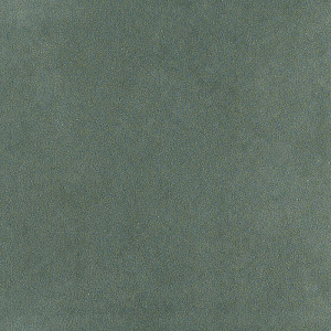 Genesi Verde