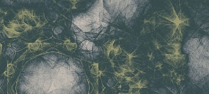 Codice Prodotto Cotton cloud INKBRCC1406