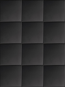 Hexa Black Swan SQUARE
