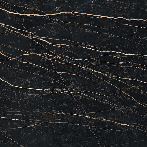 PREXIOUS REX THUNDER NIGHT 6MM