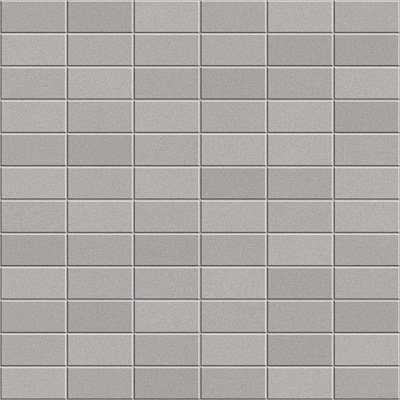 ANTHOLOGHIA 2009 CLEMATIDE 5X10