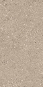 HERITAGE BEIGE 60x120 SPAZZOLATO R10 04