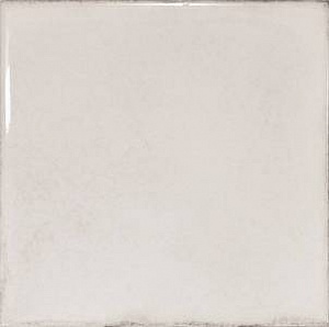 23967 Splendours White 15X15