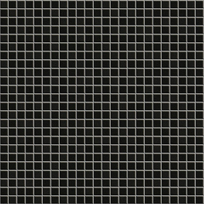 ANTHOLOGHIA 4010 TULIPANO NERO