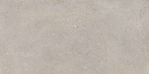 DISTRICT SILVER 60x120 SPAZZOLATO R10 02