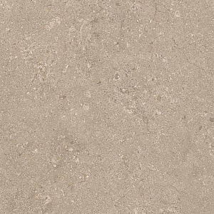 HERITAGE BEIGE 60x60 SPAZZOLATO R10 09