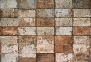 1052958 Havana Cohiba Cotto 10X20