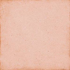 24388 Art Nouveau Coral Pink 20X20