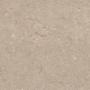 HERITAGE BEIGE 60x60 STRUCTURED R11 03