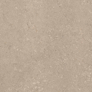 HERITAGE BEIGE 120x120 SPAZZOLATO R10 06