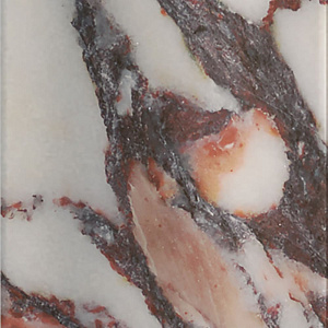 Maximalista Calacatta Viola Roman Large