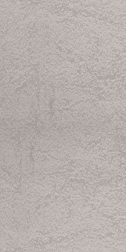 FERRUM SILVER 50X100