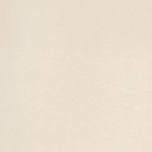 ELEMENTS DESIGN IVORY NATURAL 60X60 R9