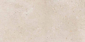 DISTRICT IVORY 30x60 SPAZZOLATO R10 01