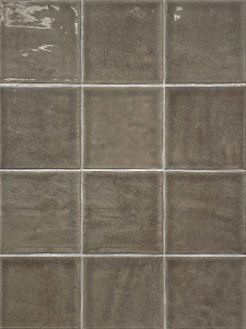 Typic Grey