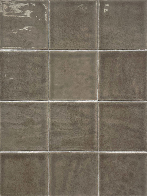 Typic Grey