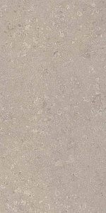 HERITAGE GREY 60x120 STRUCTURED R11 04