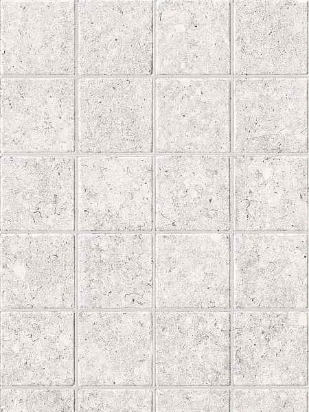 Crudatech Shadow Mosaic