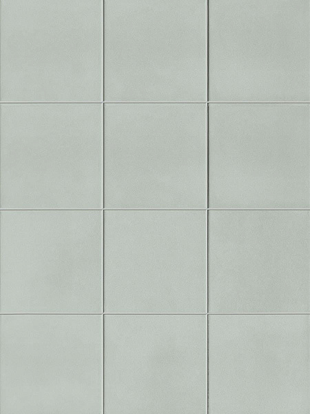 Genesi Menta