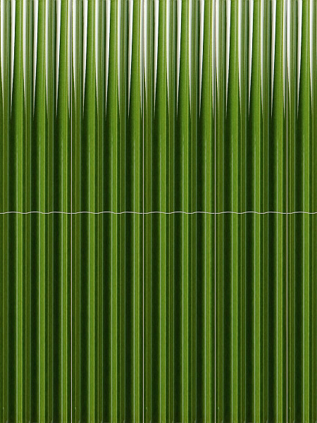 Plinth Muted Moss