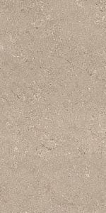 HERITAGE BEIGE 60x120 SPAZZOLATO R10 03