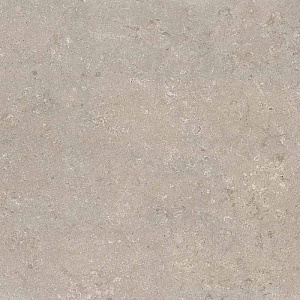 HERITAGE GREY 120x120 SPAZZOLATO R10 08