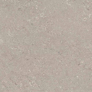 HERITAGE GREY 60x60 STRUCTURED R11 04