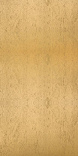 FERRUM GOLD 50X100
