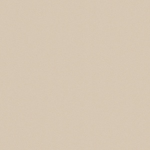 DARK IVORY  NATURALE;LEVIGATO