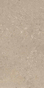 HERITAGE BEIGE 60x120 SPAZZOLATO R10 02