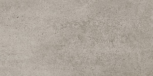 CONCRETO LIGHT NAT/RT 30X60 LGVC320
