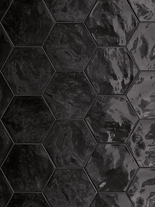 Hexa Black Swan WALL