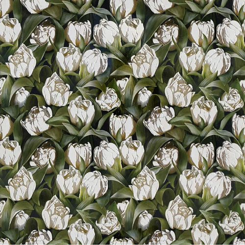 TULIPS MARBLE BIANCONE ETCHED
