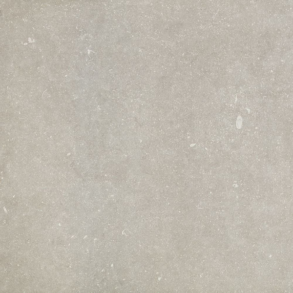 Vicentina XXS Salvia