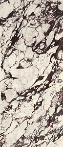 Calacatta Viola Polished