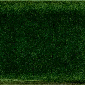Pulse Moss