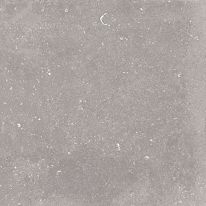 NOBLE NATURALE GRIS 80 x 80 EHFL