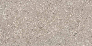 HERITAGE GREY 30x60 SPAZZOLATO R10 04