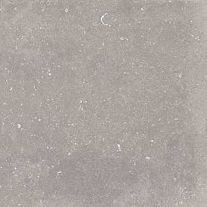 NOBLE LAPPATO VELOUTÈ GRIS 80 x 80 EHLM