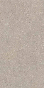 HERITAGE GREY 60x120 SPAZZOLATO R10 08
