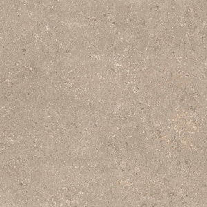HERITAGE BEIGE 120x120 SPAZZOLATO R10 08