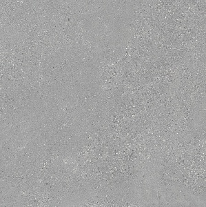 ROUGH GRAIN GREY NATURALE 120 x 120 E08D