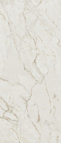 MAXXI CALACATTA DELICATO BRILLANTE 120x278