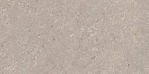 HERITAGE GREY 30x60 STRUCTURED R11 08