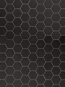 Hexa Black Swan mosaic