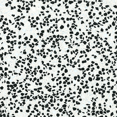 LA VENEZIANA 1656 CAMPO SCURO