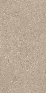 HERITAGE BEIGE 60x120 SPAZZOLATO R10 09